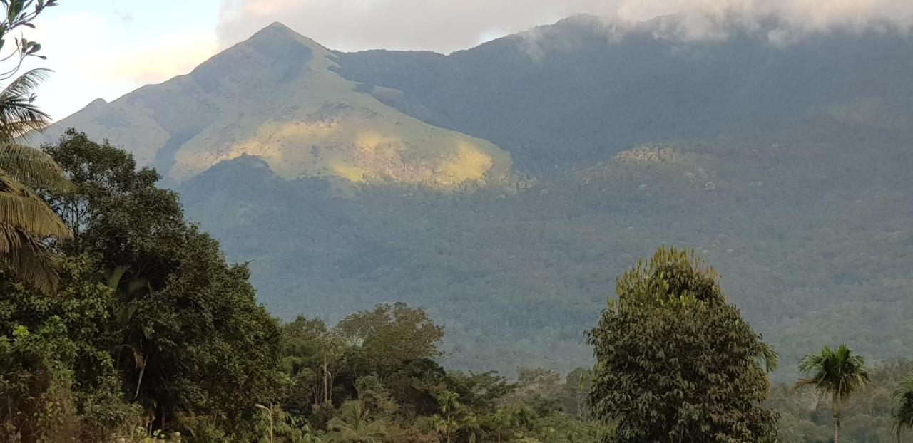 Wayanad Doubletree Villa Vythiri Exteriér fotografie