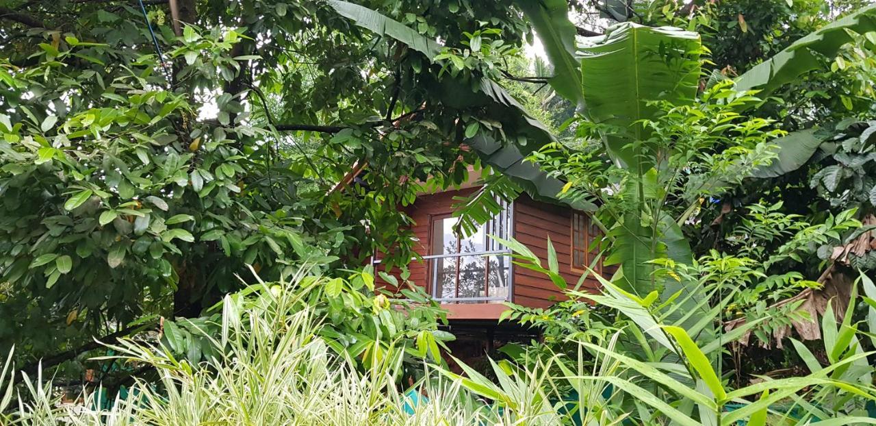 Wayanad Doubletree Villa Vythiri Exteriér fotografie