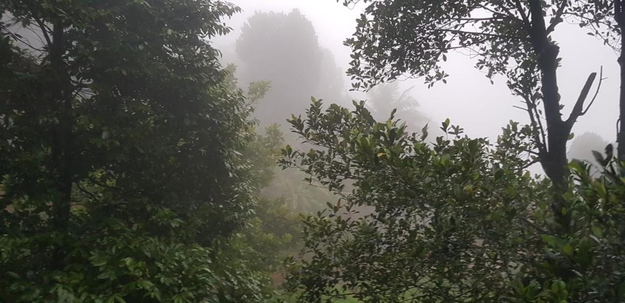 Wayanad Doubletree Villa Vythiri Exteriér fotografie