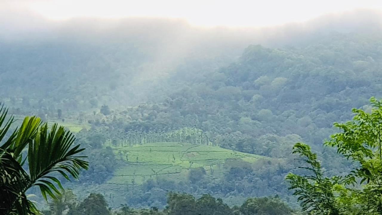 Wayanad Doubletree Villa Vythiri Exteriér fotografie