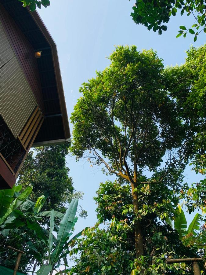 Wayanad Doubletree Villa Vythiri Exteriér fotografie